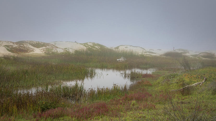 Lake in the Dunes Photograph by Lars Mikkelsen