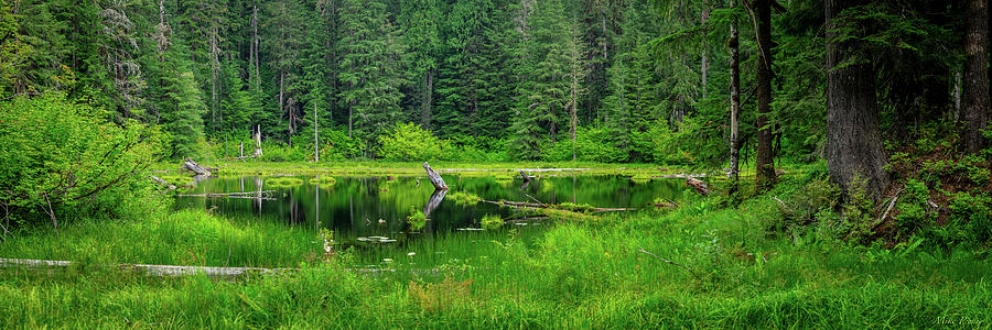 Lake in the forest Photograph by Mike Penney