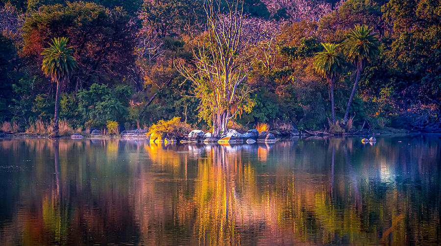 Lake in the forest Digital Art by Pravine Chester