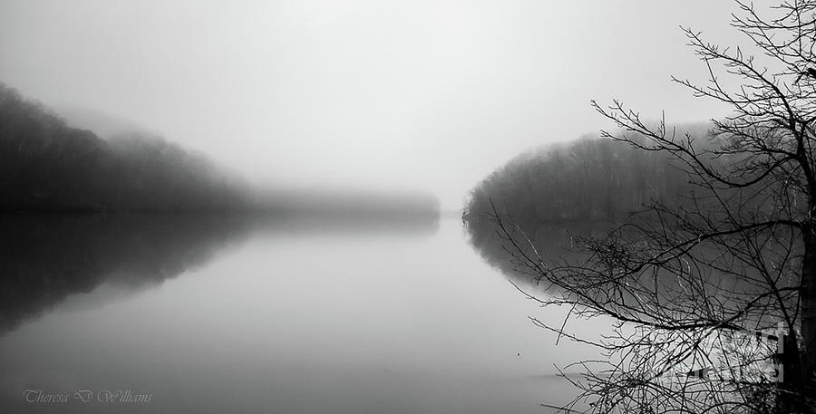 Lake In The Mist Photograph by Theresa D Williams