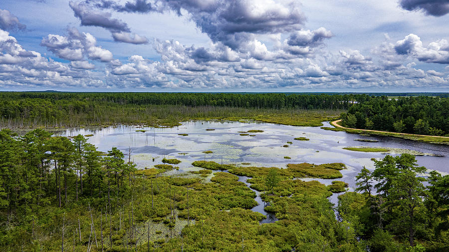 Lake in the Pine Barrens Photograph by Louis Dallara