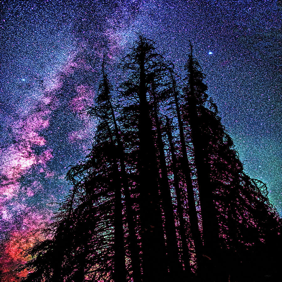 Lake Irene, Colorado under celestial starlight  Photograph by OLena Art