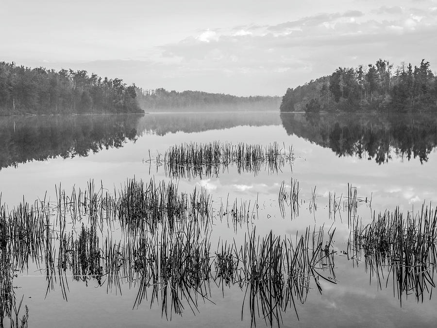 Lake Jean, Ricketts Glen State Park, PA by Tim Fitzharris Photograph by Tim Fitzharris
