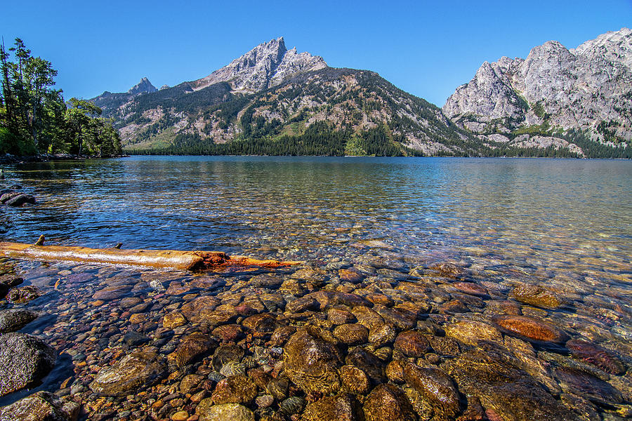 Lake Jenny Stones Photograph by Matthew Irvin