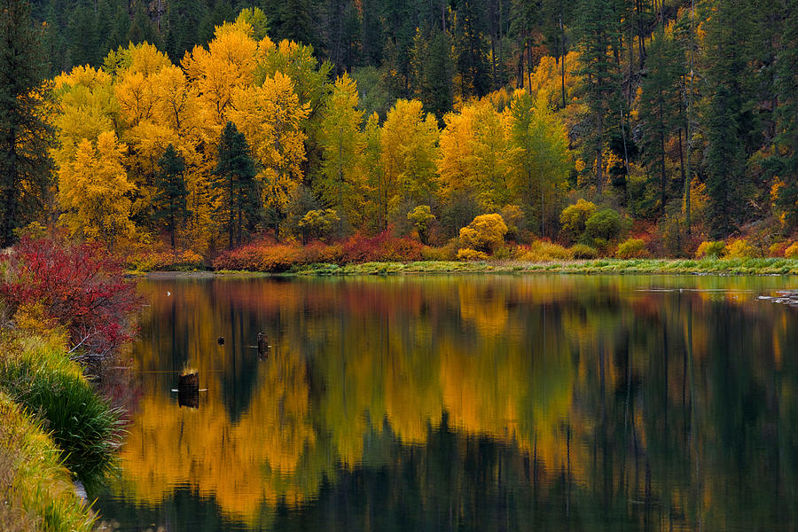 Lake Jolanda fall colors Photograph by Lynn Hopwood