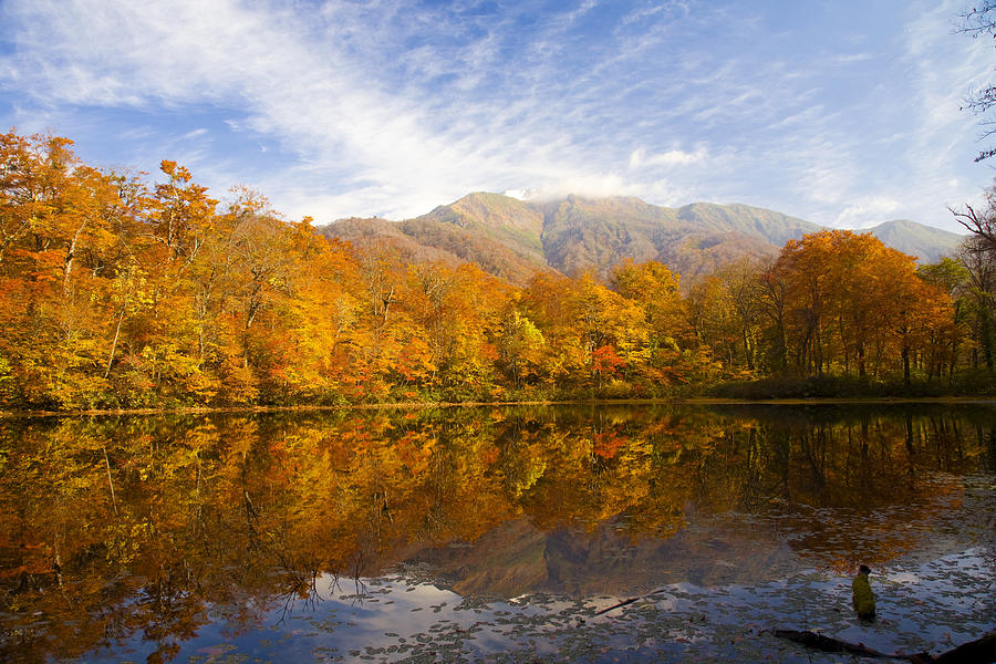 Lake karikomi in autumn, Fukui Prefecture, Honshu, Japan Photograph by Amana Images Inc