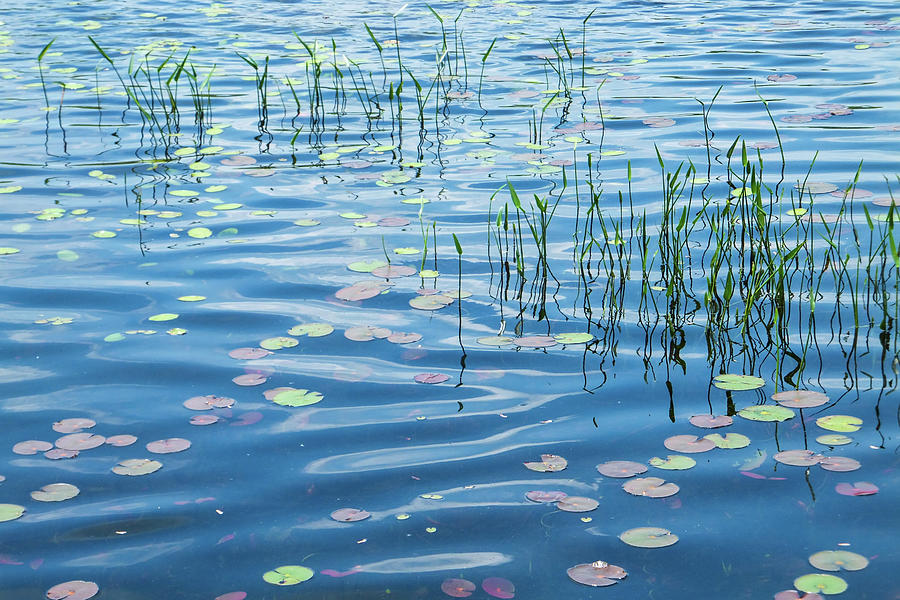 Lake Lacawac Pastels Photograph by Tana Reiff