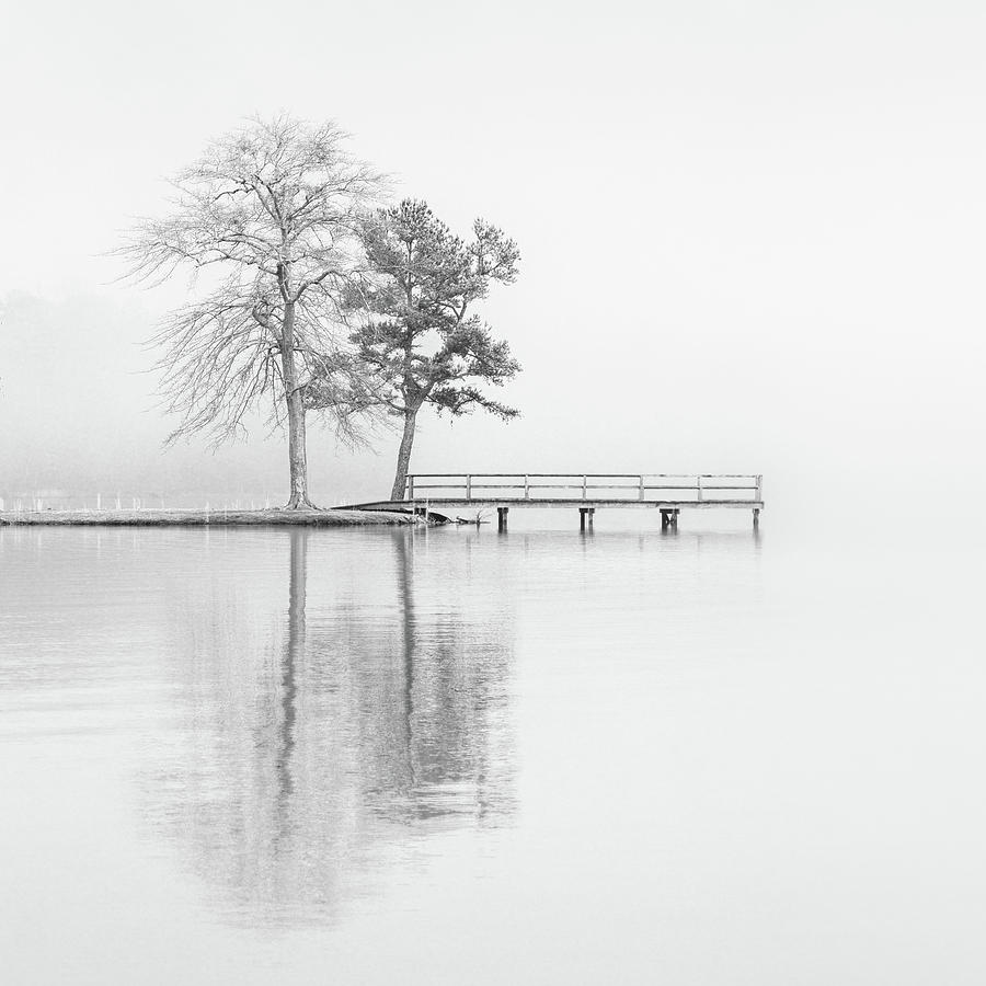 Lake Lamar Bruce Fog Saltillo Mississippi Black And White1 Photograph by Jordan Hill