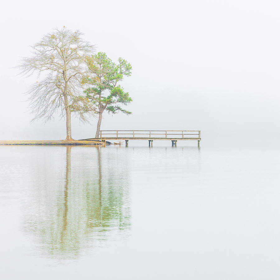 Lake Lamar Bruce Fog Saltillo Mississippi Photograph by Jordan Hill
