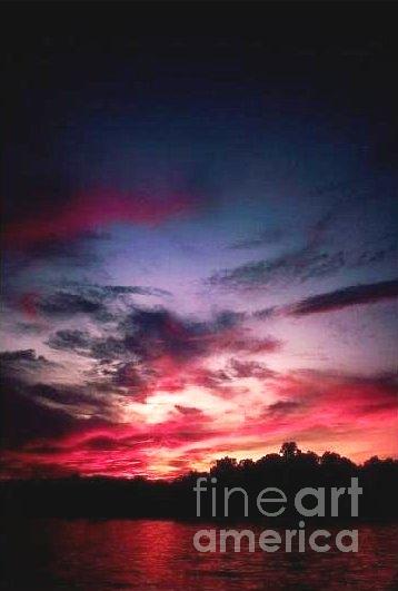 Lake Louisa Sunset Photograph By David Coe Fine Art America 3097