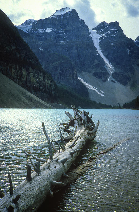 Lake Louise Alberta Canada Photograph by Gordon James Lake Louise Alberta Canada Photograph by Gordon James