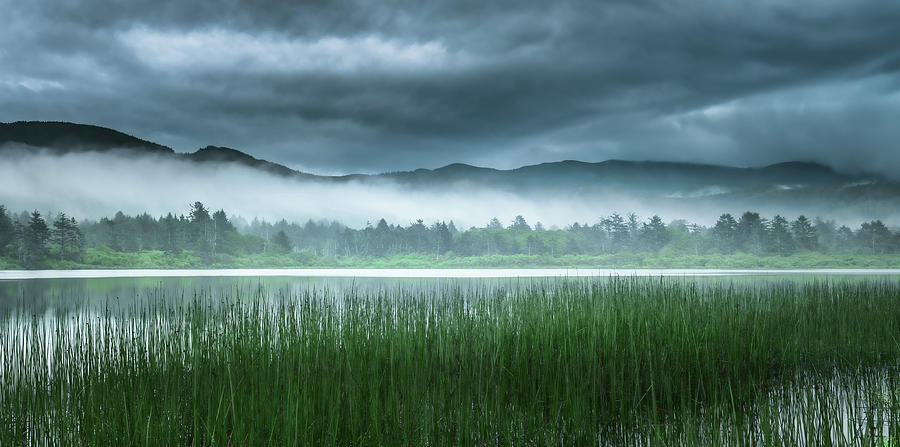 Lake Lytle Mist Photograph by Don Schwartz
