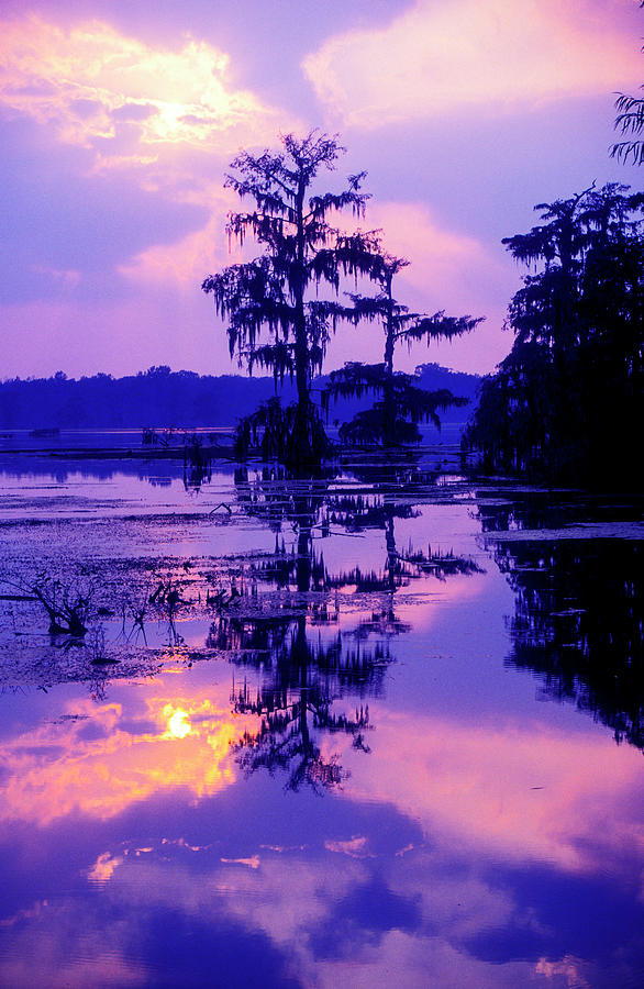 Lake Martin 2p Photograph by Alex Demyan - Fine Art America