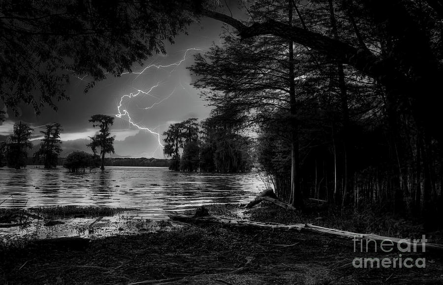 Lake Martin Louisiana I BW Photograph by Chuck Kuhn