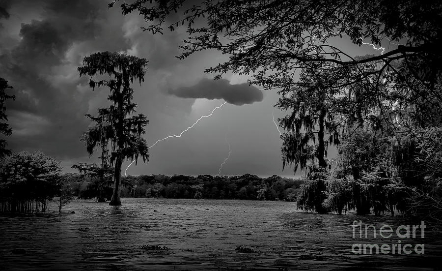 Lake Martin Swamps Trees Lightning Black White  Photograph by Chuck Kuhn