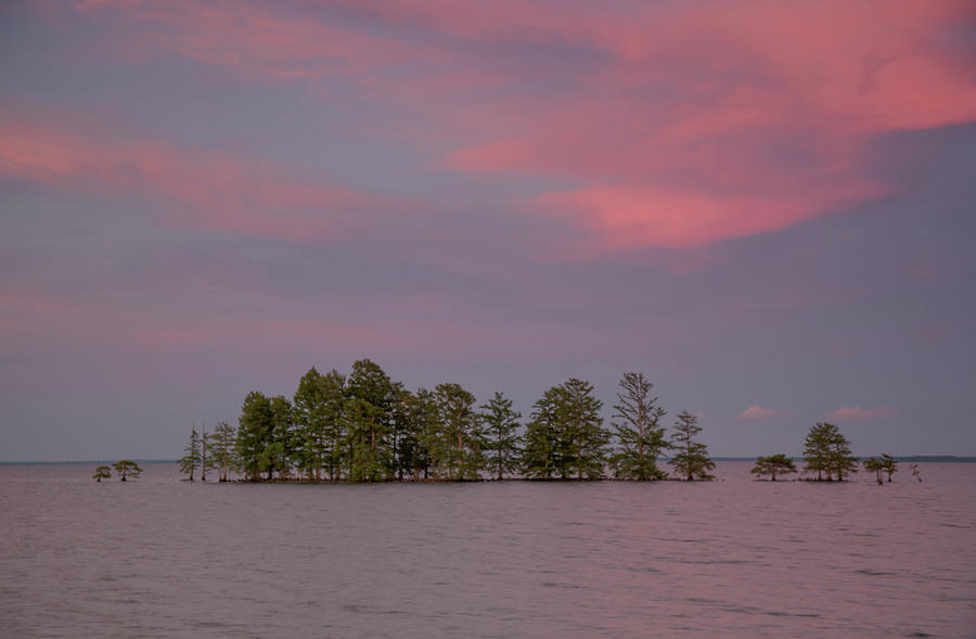Lake Mattamuskeet, North Carolina Photograph by Doug McPherson
