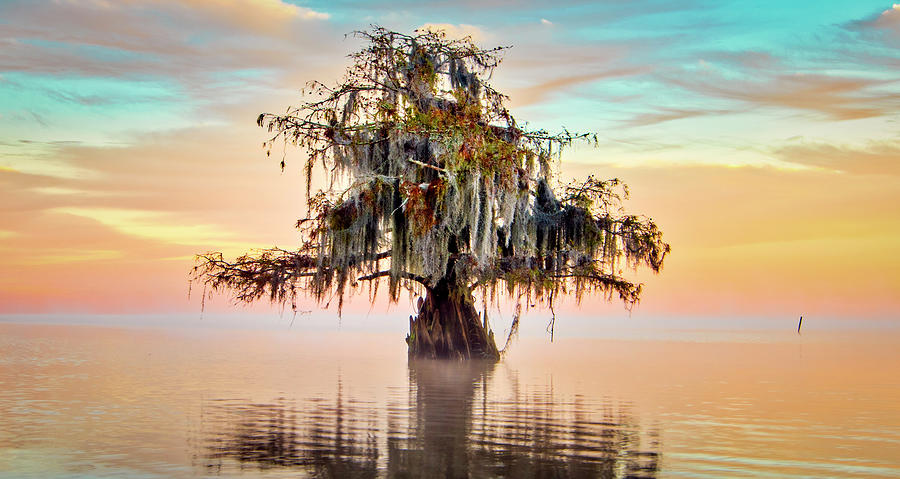Lake Maurepas in Pastels Photograph by Andy Crawford