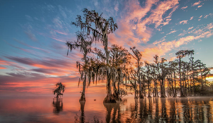 Lake Maurepas on fire Photograph by Andy Crawford