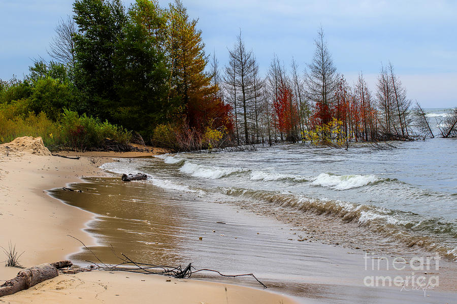 Landscape Photograph - Lake Michigan Beach Alcove by Rosanna Life