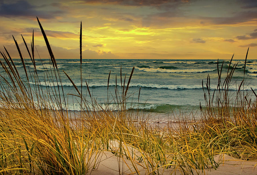 Lake Michigan Beach by Holland Michigan at Sunset with Dune Gras Photograph by Randall Nyhof