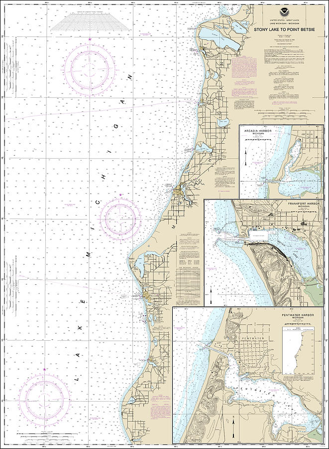 Lake Michigan Stony Lake to Point Betsie Nautical Chart 14907 No ...