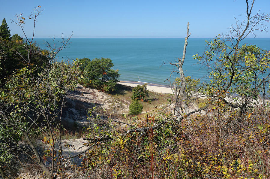 Lake Michigan View from an Autumn Dune Photograph by Scott Kingery