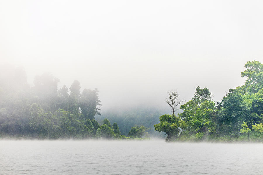 Lake Mist Photograph by Cris Ritchie