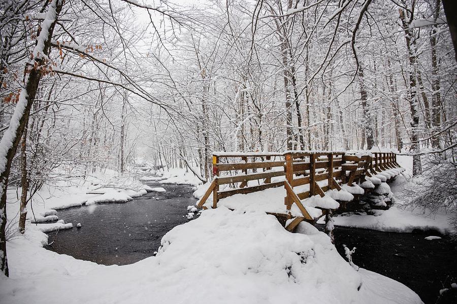 Lake Mohegans Hiking Trail In Winter Photograph