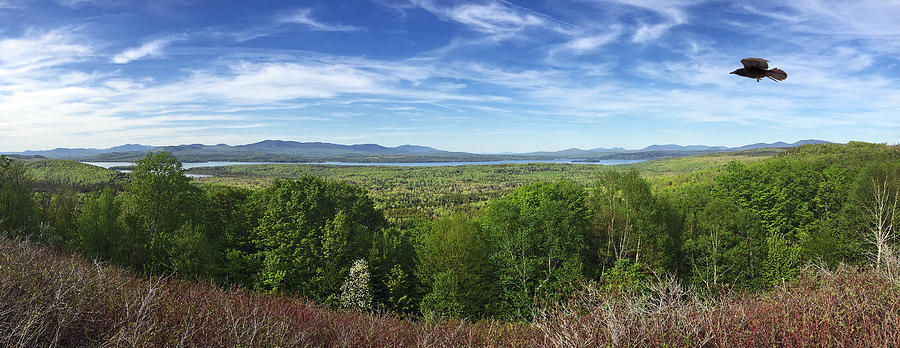 Lake Mooselookmeguntic near the Rangeley Lakes are in North eastern Maine, USA during spring. Photograph by Cappi Thompson