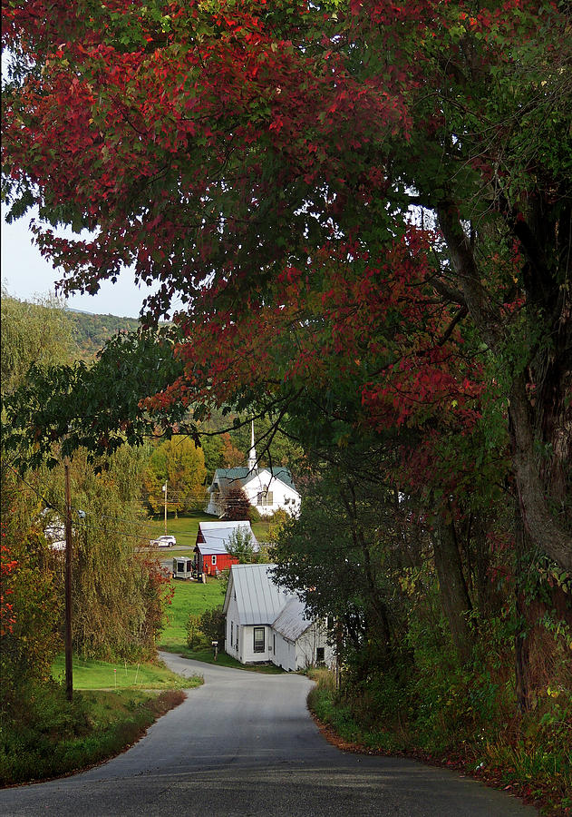 Lake Morey Road in Vermont Photograph by Nancy Griswold