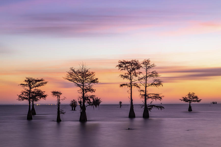 Lake Moultrie Twilight Photograph by Stefan Mazzola