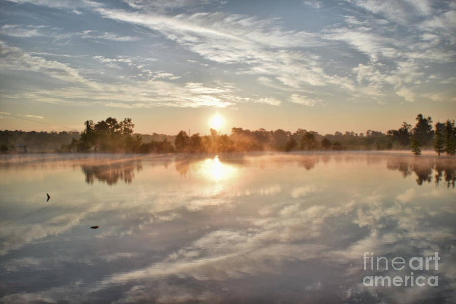 Lake Newton Sunrise Photograph by Anita Streich