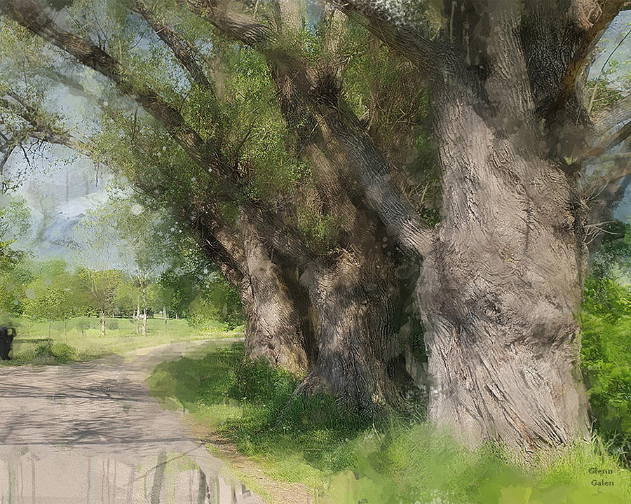 Lake Nokomis Willows Painting by Glenn Galen