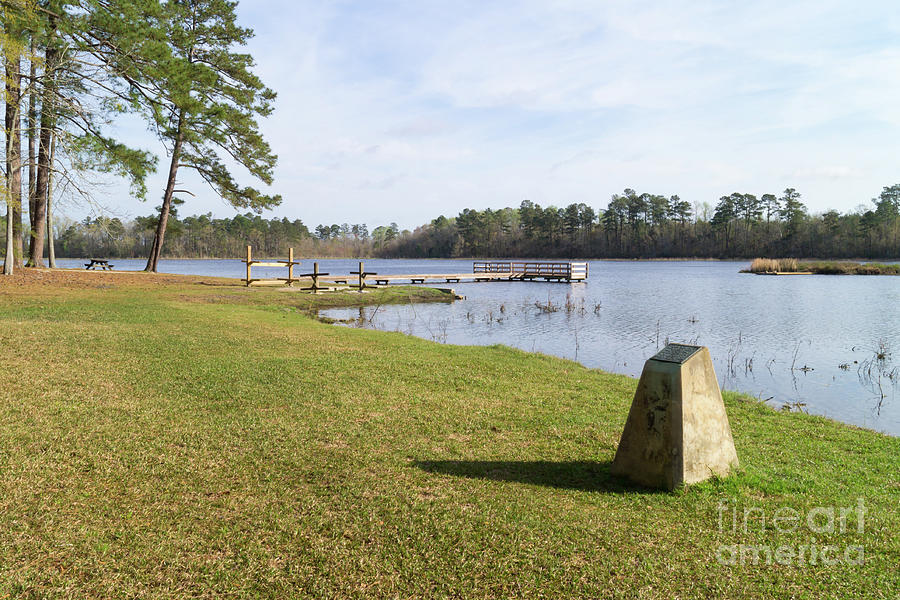 Lake Norton on a Springtime Morning Photograph by MM Anderson