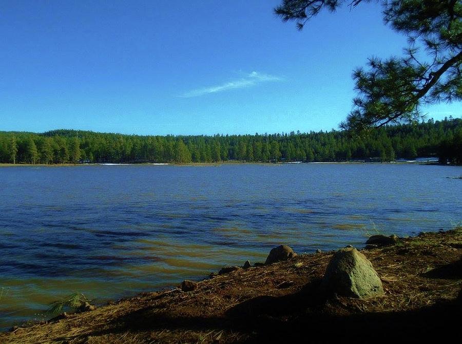 Lake O'Dell Photograph by Caroline Haldeman - Fine Art America