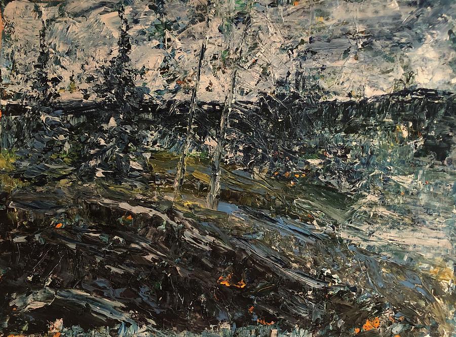Lake of the Woods Abstracted Painting by Desmond Raymond