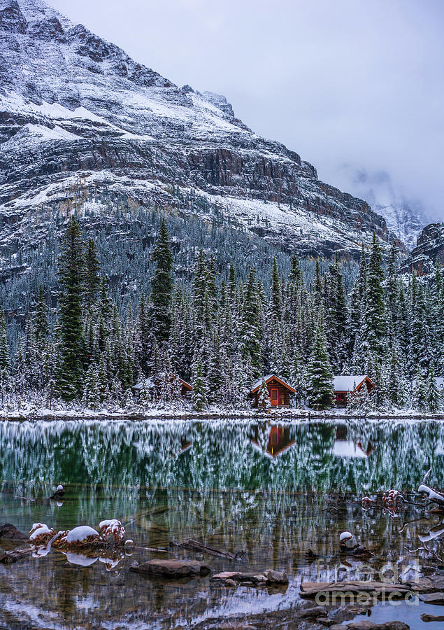 Lake OHara Canadian Rockies Cabins in Winter Photograph by Mike Reid
