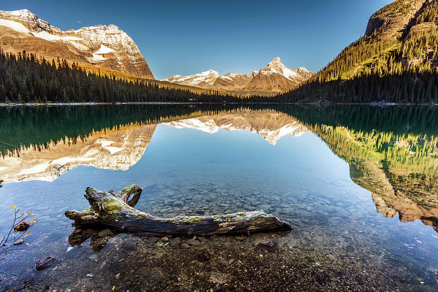 Nature Photograph - Lake OHara Reflection by Pierre Leclerc Photography