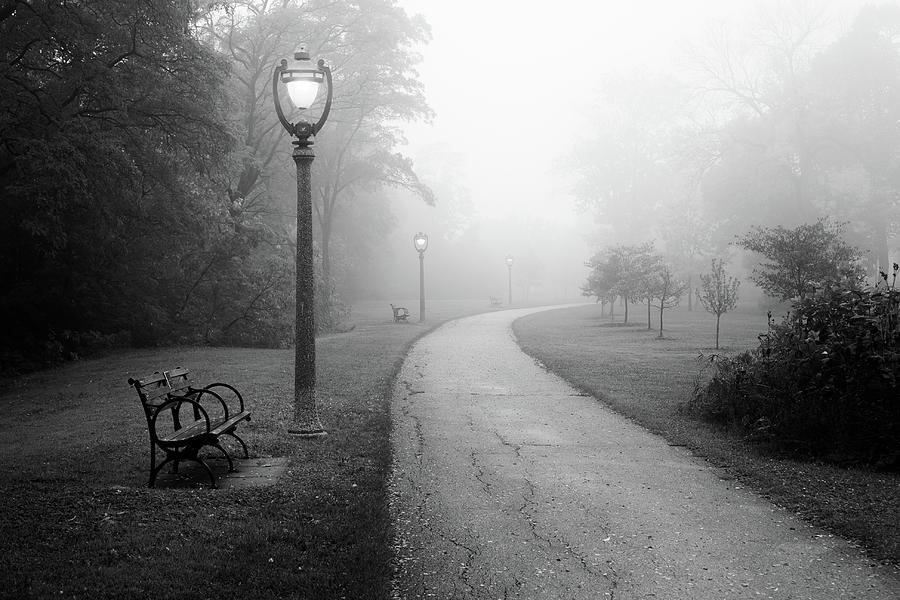 Lake Park Fog Photograph by Scott Norris