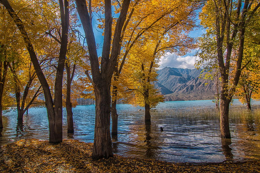 Lake Porterillos, Mendoza, Argentina Photograph by Robert McKinstry