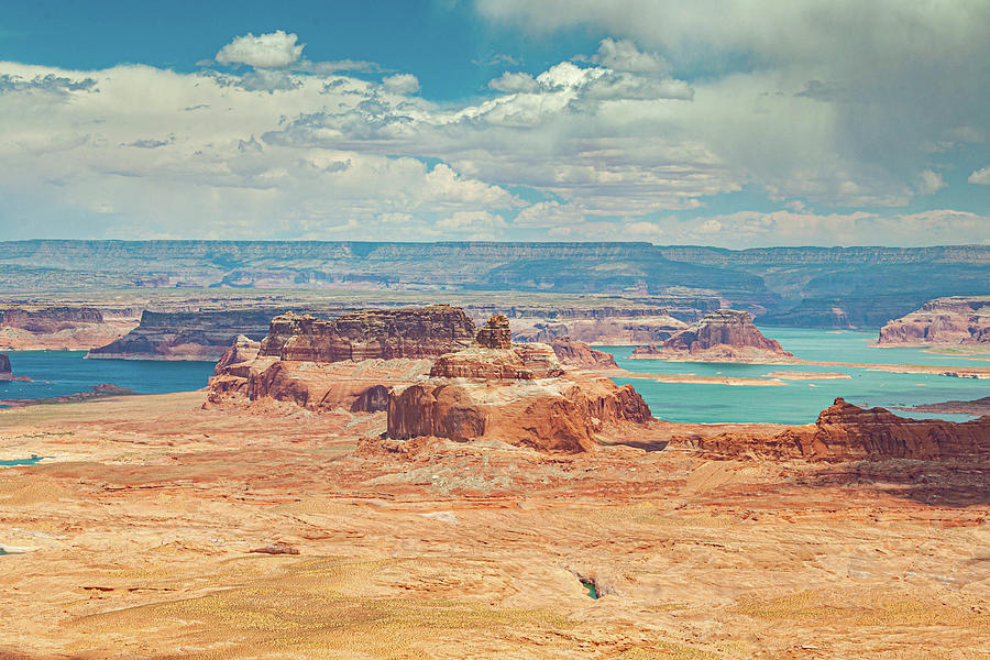 Lake Powell From Tower Butte Photograph by Rob Hemphill