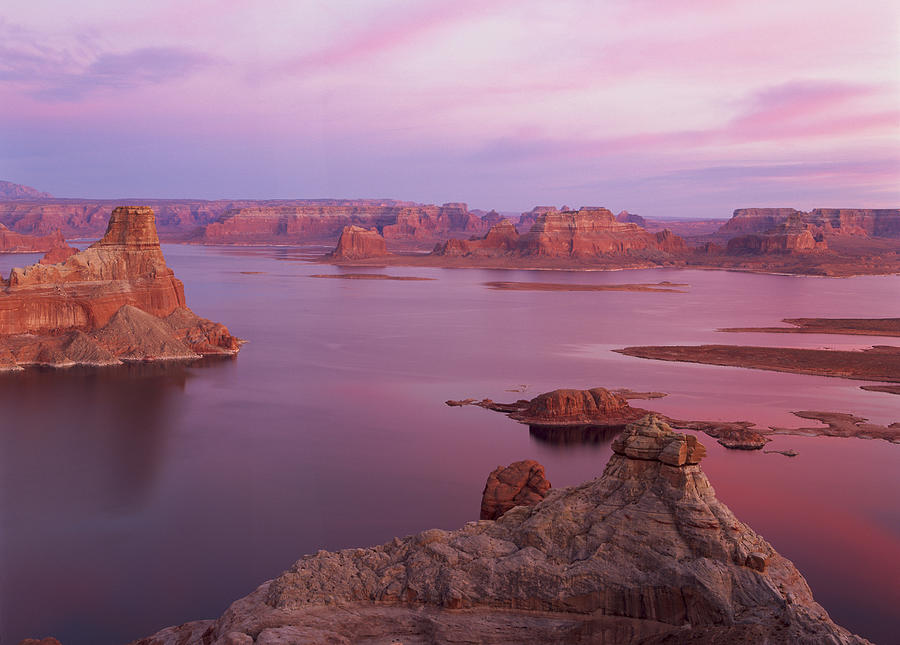 Lake Powell Near Page Arizona With Red Rock Formations In The Pink Haze Of Morning Photograph by Rubberball