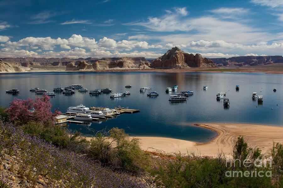 Lake Powell Photograph by Steve Brown