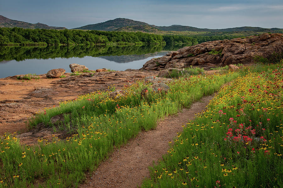 Lake Quanah Parker and Wildflowers 3 Photograph by Cindy McIntyre