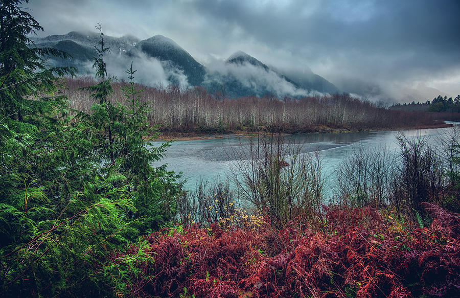 Lake Quinault and Olympics Photograph by Abbie Matthews