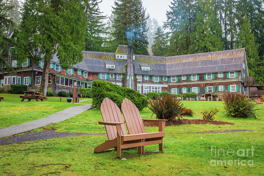 Lake Quinault Lodge Lawn Photograph by Inge Johnsson
