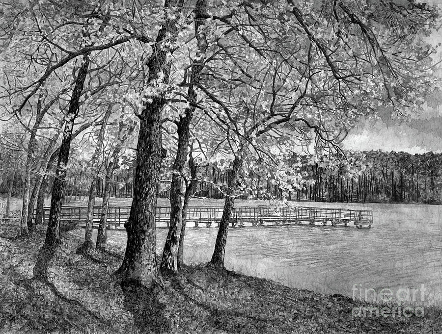 Lake Raven In Spring In Black And White Painting