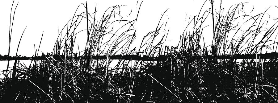 Lake Reeds Silhouette Drawing by GeorgePeters