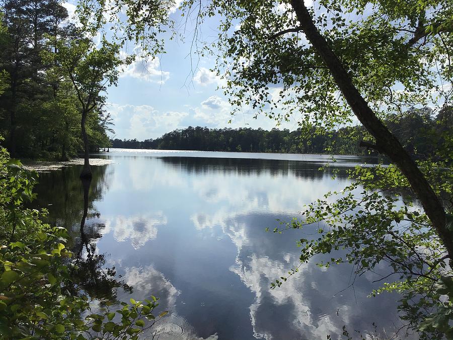 Lake Reflection Photograph by Catherine Wilson Lake Reflection Photograph by Catherine Wilson
