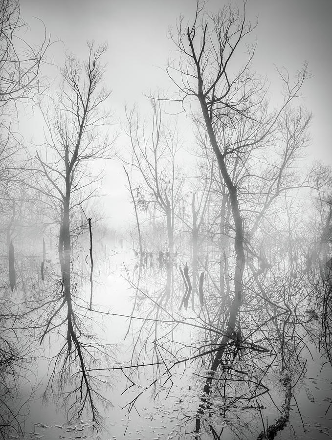Lake Reflections In Black And White Photograph by Jordan Hill